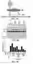 Fig. 06 - Benzofuran compounds, compositions, kits and/or methods thereof