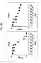Fig. 13 - Pharmaceutical composition for preventing or treating tuberculosis
