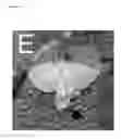 Fig. 08 - Pharmaceutical compositions comprising glitazones and Nrf2 activators