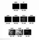 Fig. 45 - High-transduction-efficiency RAAV vectors, compositions, and methods of use