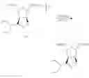 Fig. 08 - (1S,2S,3S,4R)-3-[(1S)-1-acetylamino-2-ethyl-butyl]-4-uanidino-2-hydroxyl-cyclopentyl-1-carboxylic acid hydrates pharmaceutical uses thereof