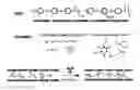 Fig. 01 - Crosslinked speek cation exchange membrane having improved chemical stability by radiation and method of preparing the same