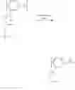 Fig. 29 - NON-FOULING CONDUCTING POLYMERS