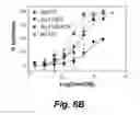 Fig. 08 - Modification of peptides using a bis(thioether)arylbridge approach