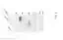 Fig. 04 - BACTERIAL TOXIN VACCINE