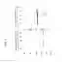 Fig. 09 - BACTERIAL TOXIN VACCINE