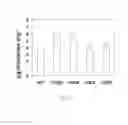 Fig. 09 - CslA9 gluco-mannan synthase gene