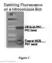 Fig. 02 - COMPOUNDS AND BIOLOGICAL MATERIALS AND USES THEREOF