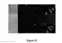 Fig. 22 - COMPOUNDS AND BIOLOGICAL MATERIALS AND USES THEREOF