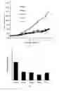Fig. 07 - (E)-1-(5-methoxy-2,2-dimethyl-2H-chromen-8-yl)-3-(4-methoxyphenyl)prop-2-en-1-one and analogs thereof, as well as preparation method and use thereof