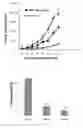 Fig. 08 - (E)-1-(5-methoxy-2,2-dimethyl-2H-chromen-8-yl)-3-(4-methoxyphenyl)prop-2-en-1-one and analogs thereof, as well as preparation method and use thereof