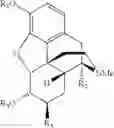 Fig. 35 - CHEMICAL TRANSFORMATIONS OF (-)-CODEINE TO AFFORD DERIVATIVES OF CODEINE AND MORPHINE THEREOF