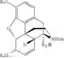 Fig. 47 - CHEMICAL TRANSFORMATIONS OF (-)-CODEINE TO AFFORD DERIVATIVES OF CODEINE AND MORPHINE THEREOF