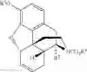 Fig. 49 - CHEMICAL TRANSFORMATIONS OF (-)-CODEINE TO AFFORD DERIVATIVES OF CODEINE AND MORPHINE THEREOF