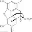 Fig. 52 - CHEMICAL TRANSFORMATIONS OF (-)-CODEINE TO AFFORD DERIVATIVES OF CODEINE AND MORPHINE THEREOF