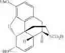 Fig. 79 - CHEMICAL TRANSFORMATIONS OF (-)-CODEINE TO AFFORD DERIVATIVES OF CODEINE AND MORPHINE THEREOF