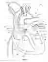 Fig. 12 - Ventricular assist device and related methods