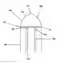 Fig. 01 - Disposable and reusable complex shaped see-through endoscope