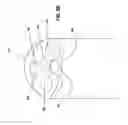 Fig. 09 - Disposable and reusable complex shaped see-through endoscope