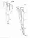 Fig. 04 - Surgical access system and related methods