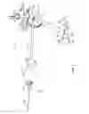 Fig. 06 - Surgical access system and related methods