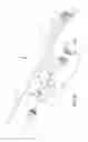 Fig. 05 - Endoscopic surgical instruments and related methods
