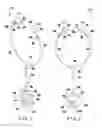 Fig. 02 - Ear Ailment Diagnostic Device and Method