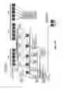 Fig. 28 - Sonification systems and methods for auditory display of physiological parameters