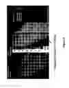 Fig. 05 - Hyperspectral technology for assessing and treating diabetic foot and tissue disease