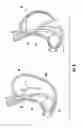 Fig. 09 - Devices and methods facilitating sleeve gastrectomy procedures
