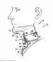 Fig. 01 - CERVICAL COLLAR WITH INDEPENDENT HEIGHT AND CIRCUMFERENCE ADJUSTABILITY
