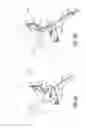 Fig. 06 - CERVICAL COLLAR WITH INDEPENDENT HEIGHT AND CIRCUMFERENCE ADJUSTABILITY