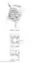 Fig. 09 - Ocular insert apparatus and methods