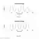 Fig. 16 - Corneal vitrification, methods and devices to produce corneal vitrification and methods of use thereof