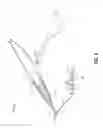 Fig. 05 - Integrated Suture and Cauterization