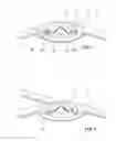 Fig. 02 - Rod coupler with variable ankle position