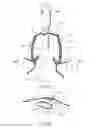 Fig. 03 - Vaginal cuff closure tool and method