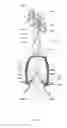 Fig. 05 - Vaginal cuff closure tool and method