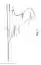 Fig. 02 - Soft tissue coring biopsy devices and methods