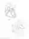 Fig. 02 - EXPANDABLE OCCLUSION DEVICES AND METHODS OF USE