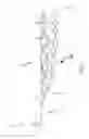 Fig. 02 - Galvanically assisted attachment of medical devices to thrombus
