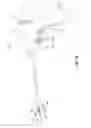 Fig. 02 - Latch mechanism for surgical instruments