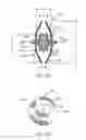 Fig. 07 - MULTI-LAYER BRAIDED STRUCTURES FOR OCCLUDING VASCULAR DEFECTS