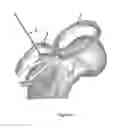 Fig. 08 - METHODS AND DEVICES FOR VALIDATING THE POSITION OF PATIENT-SPECIFIC DEVICES