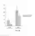 Fig. 07 - Methods for tissue passivation