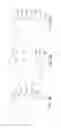 Fig. 03 - DEFORMABLE ACCOMMODATIVE INTRAOCULAR LENS