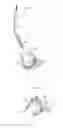Fig. 22 - Hip joint method