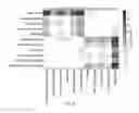 Fig. 09 - Automated nucleic acid repeat count calling methods