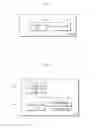 Fig. 06 - Display method for displaying information desired by a user