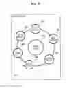 Fig. 06 - REPORT DATA MANAGEMENT SERVER, REPORT DATA MANAGEMENT PROGRAM, AND REPORT DATA MANAGEMENT DEVICE